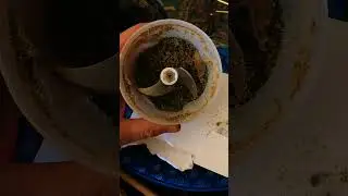 1st half of this 3 oz joint cone! oh ya!🤘👽🤘