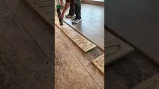 Glue assist nail down hardwood flooring using PL #framing #houseconstruction #flooring