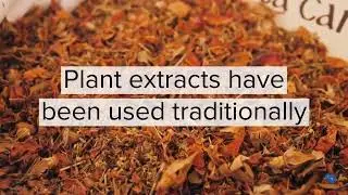 In one minute: Hepatoprotective plant extracts