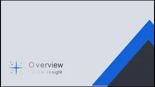 Portfolio Insight