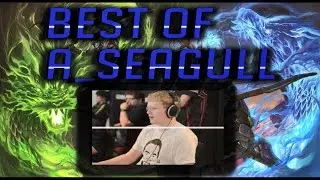 Overwatch Epic Moment  : Pro Player || Best Of Seagull