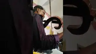 Kalangidathe violin solo