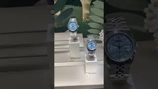 Land-Dweller Rolex 2025 Release