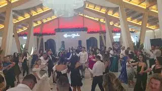 Royal Mizil -live populara