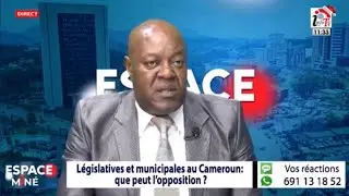 LÉGISLATIVES ET MUNICIPALES AU CAMEROUN : QUE PEUT L'OPPOSITION ?