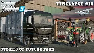 Building COW PASTURE and CHICKEN COOP w/ @TheCamPeRYT! 🐮🐔 | Swiss Future Farm | FS22 | Timelapse #16