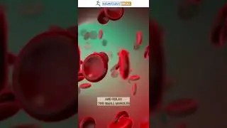Smooth the Pain with Paraffin Wax Bath in Rheumatoid Arthritis