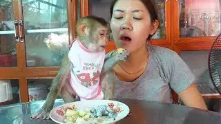 Gentle Monkey Baby Mori Like Mixed Fruits, Mom Make Healthy For Mori