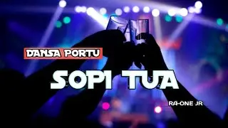 DANSA PORTU 💃 || SOPI TUA - MIXTAPE || RA-ONE JR REMIX