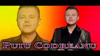 Puiu Codreanu - Dorul de copiii mei