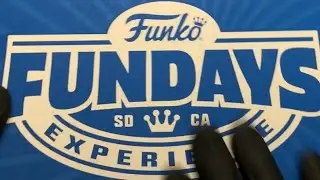 2025 Funko Fundays Box of Fun opening