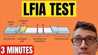 Lateral Flow Immunoassay (LFIA EXPLAINED)