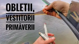 Pescuit viteza la oblete, februarie 2020