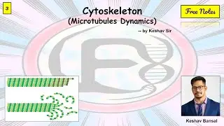 Microtubules Dynamics || Cytoskeleton Part-3 || bsc, msc, CSIR, GATE || Free PDF notes || by VEX