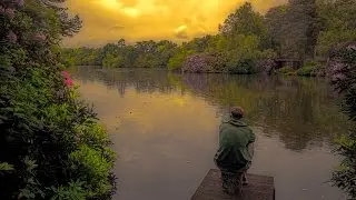 California Country Park
