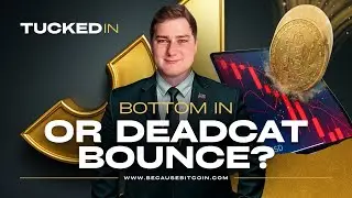 BTC и ETH: дно или отскок дохлой кошки? 🧐 | TUCKED IN