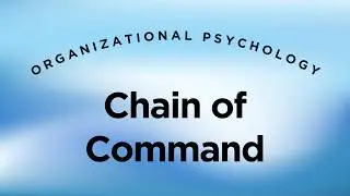Chain of Command - Organizational Psychology Lecture 16 Part 4