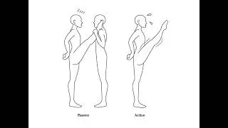 3 LOWER LIMB   JOINTS MEDICINE 2021