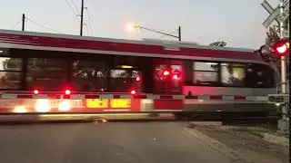 Module 1.3 - Train Crossing