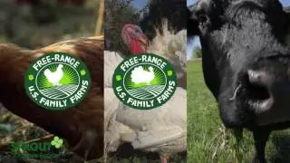 About Sprout Organic Foods