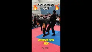 👊🏻Spin Him  #shorts #karate