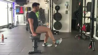 How to Do   Seated High-Volume Band Hamstring Curls