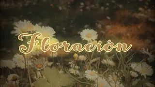Kefiendu - FLORACI&Oacute;N (Official Lyric Video)