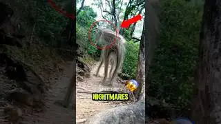 TOP 5 REAL PHENOMENA That Look Like Nature&rsquo;s Worst NIGHTMARES 🌌🧬👁️