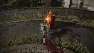 From the bottom of my heart, I hate SHIELD POKING... | Elden Ring pvp