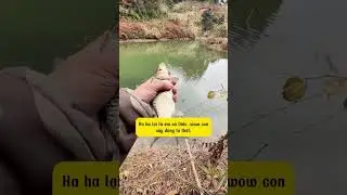 P8 Thử thách câu cá 0 đồng