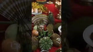 vishu kani 2022