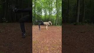 8 Jahre Capoeira, das ist alles was ich noch kann! #capoeira #Sport #outdoor
