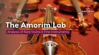 How We Analyze Rare Violins & Fine Instruments | Inside The Amorim Lab