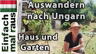 Haus und Garten  |  Renovieren - die Arbeit beginnt  |  Grundstück in Ungarn