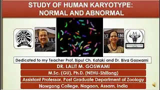 Study of Human Karyotype: Normal and Abnormal