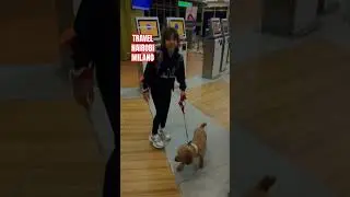 🎒From Nairobi to Milan via Brussels ✈️ | A Little Girl&rsquo;s Airport Adventure Across Three Countries!