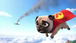 Super pug saves the woman again extended edition