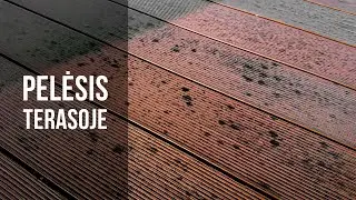 KODĖL SUPELIJO TERASA PER PORĄ SEZONŲ //  Stabdoma registracija IR šildytuvui laimėti !!!
