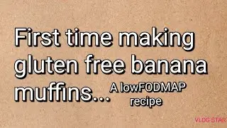 First time attempting lowFODMAP muffins with gluten free flour