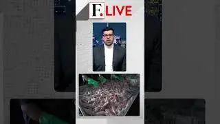 India's Seafood Trumps US Tariffs | Firstpost Live | N18G