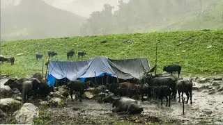 Midwestern rural lifestyle in Nepal || hilly areas people cooking and farming life style
