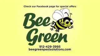 Bee Green Pest Solutions