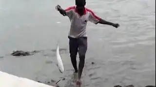 Snagging Mullet (Fishing in Goa)
