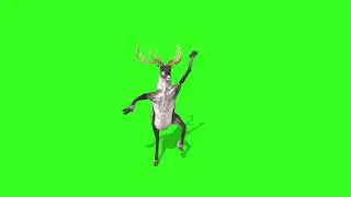 green screen dance | Футаж хромакей на зеленом фоне новинка 2021 GREEN SCREEN dance | HD 2021 👍