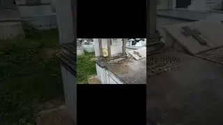 t&uacute;mulo da Araceli/caso Araceli