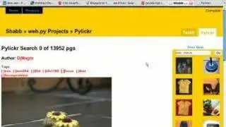 Pylickr - Faster Flickr Finding :]