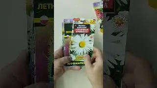 Архив цветов за 7 лет, порадовали, 4 часть.