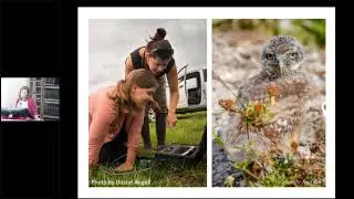 Burrowing Owls on Florida Cattle Ranches - Liz Rose