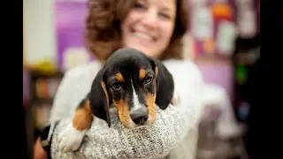 Bark and Wine 2021 - Virtual Event