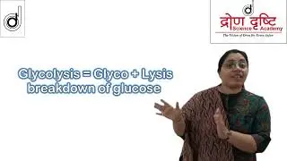 Glycolysis